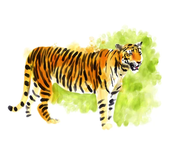 Acquerello digitale Tiger — Foto Stock
