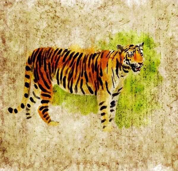Tigre digital — Foto de Stock