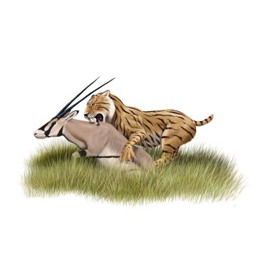 Saber tooth tiger clipart
