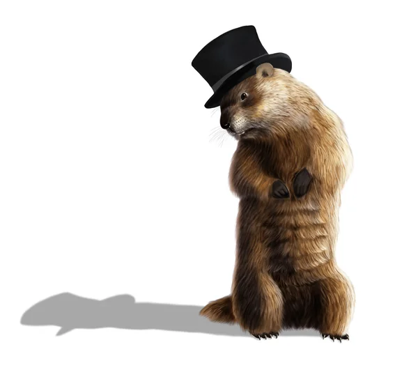 Groundhog — Stock Photo, Image