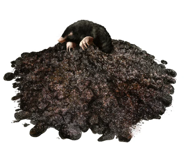 Mole — Stock Photo, Image