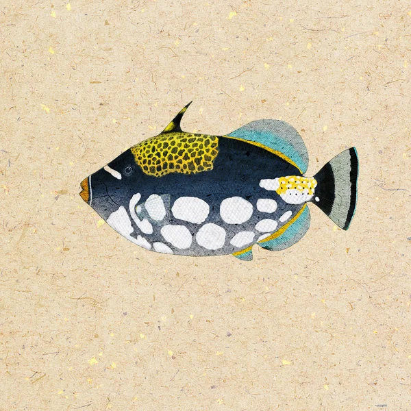 Triggerfish — Stockfoto