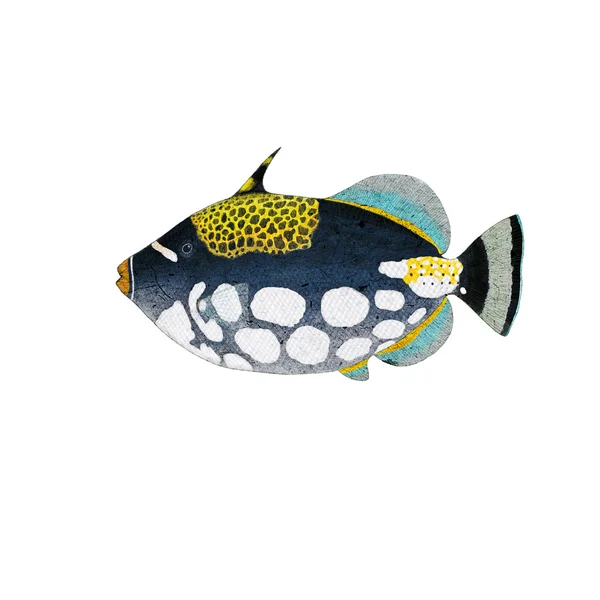 Triggerfish — Stockfoto