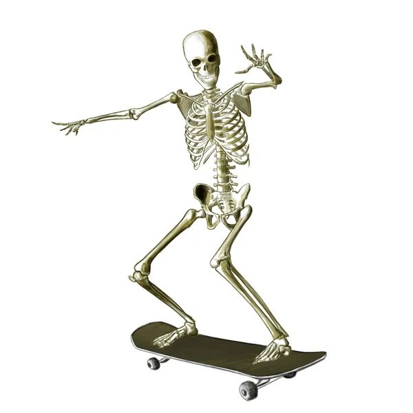 Скелет скелета — стоковое фото
