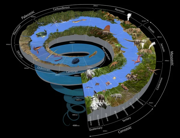 Геологическая спираль времени Стоковая Картинка