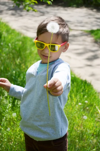 Küçük şirin çocuk güneş gözlüğü karahindiba ile