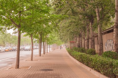 güzel, temiz ve berrak kaldırım