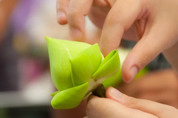 Folding white lotus