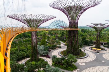 Körfez kenarındaki bahçeler