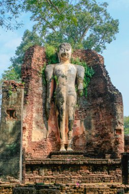 Buda Kamphaeng Phet tarihi Park, Tayland için ayakta