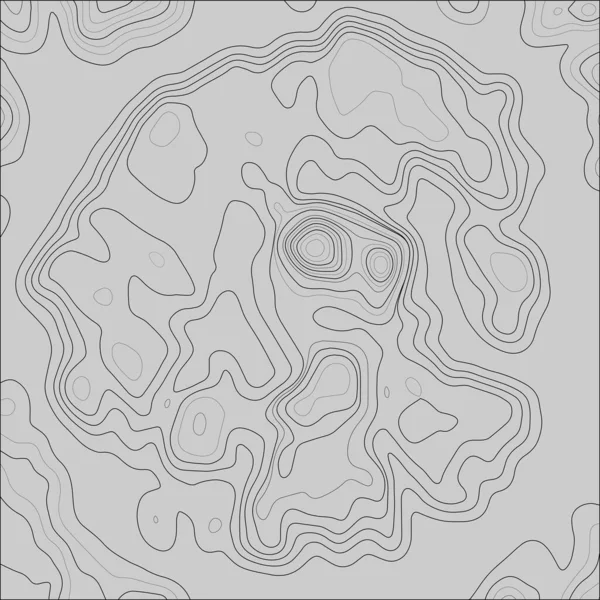 Soyut kompozisyon. Gri arkaplandaki ince ve kalın siyah çizgiler. Soyut Topografik Contour Harita Şablonu. EPS10 Vektörü