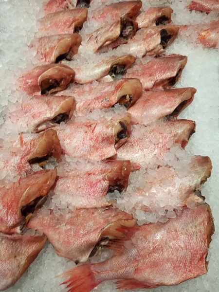 Fresh Frozen Chilled Gutted Fish Lies Ice Counter Fish Department — Stock Photo, Image