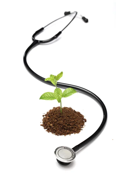 Green plant and stethoscope — Stock Photo, Image