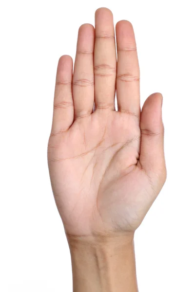 El Beyaz beyaz karşı