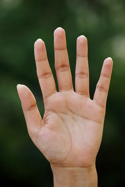 Kvinnan öppnar hand mot grön bakgrund — Stockfoto