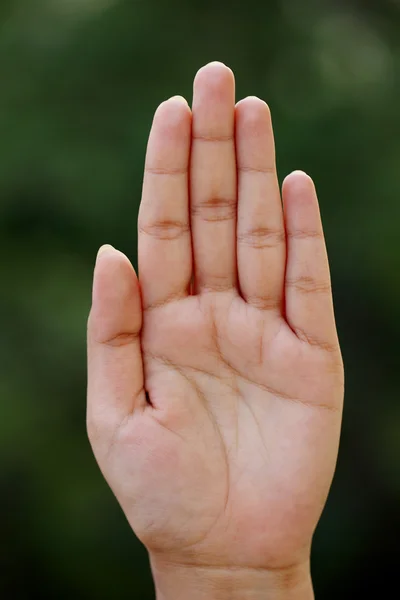 Mujer mano abierta sobre fondo verde — Foto de Stock