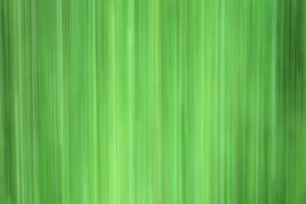 Green blurred background