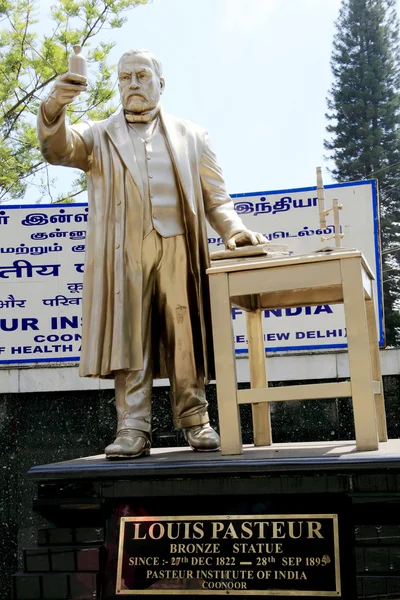 Louis Pasteur Pasteur Enstitüsü Hindistan Coonoor adlı heykeli Lothe heykeli. Pasteur (1822-1895) Pasteurizationuis Pasteur Pasteur Enstitüsü Hindistan Coonoor adlı keşfetti. Pasteur (1822-1895) pastörizasyon keşfetti — Stok fotoğraf