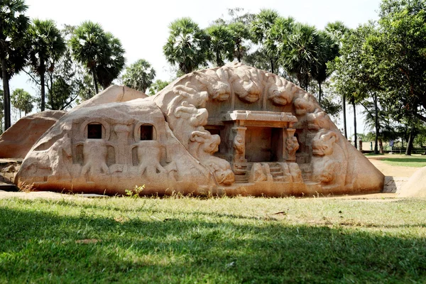 Kaplan mağara, Mamallapuram, Hindistan