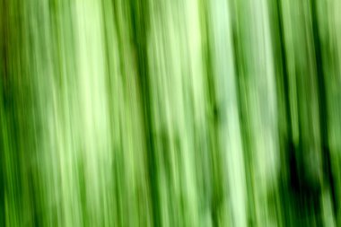 yeşil arka plan bulanık