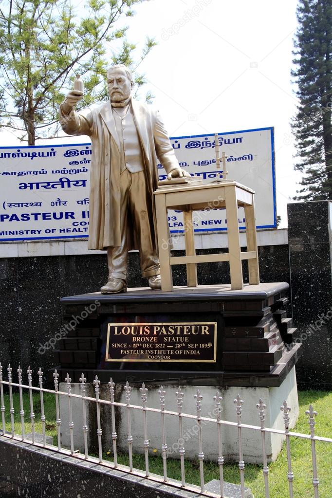 The statue of LoThe statue of Louis Pasteur at the Pasteur Institute of India in Coonoor. Pasteur (1822-1895) discovered Pasteurizationuis Pasteur at the Pasteur Institute of India in Coonoor. Pasteur (1822-1895) discovered Pasteurization