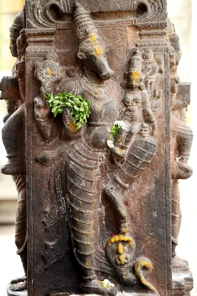 Varadarajan temppeli. Kanchipuram — kuvapankkivalokuva