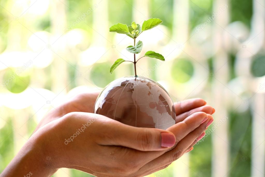 Glass globe and plant