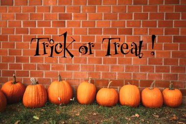 Pankart, poster, tebrik kartı, parti davetiyesi içeren Cadılar Bayramı balkabakları.