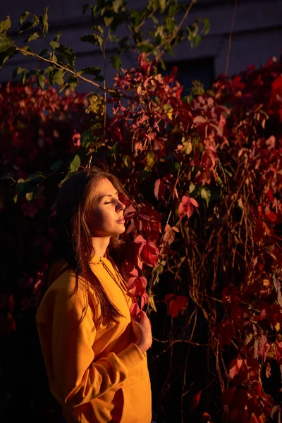 Schöne Kaukasische Junge Frau Posiert Herbst Mit Roten Blättern Leuchtend — Stockfoto