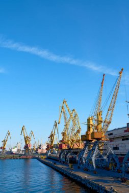 Konteyner kargo gemisinin lojistik ve taşımacılığı. Uluslararası Su Taşımacılığı.