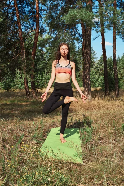 Hermosa Joven Haciendo Yoga Sobre Naturaleza Yoga Meditación — Foto de Stock