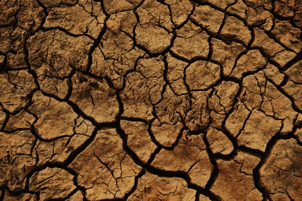 Soil Cracked Background Earth Dry Season — Stock Photo, Image