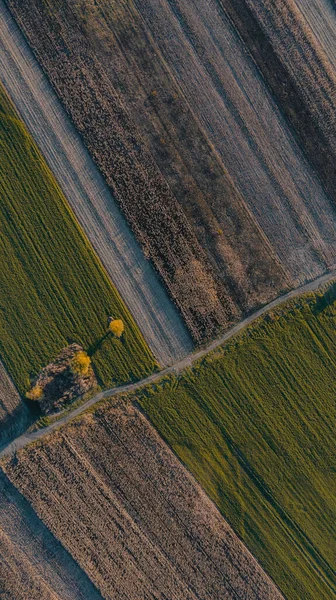 Vue Aérienne Sur Les Champs Céréales Automne — Photo