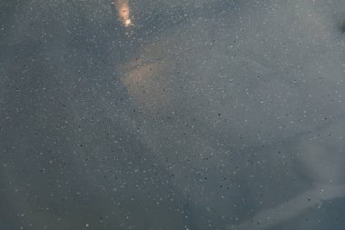 Yapı serisi: dekoratif çiplerle epoksi reçine döşemesi