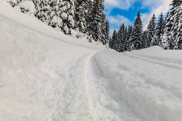 Mélykerekek Nyomai Frissen Hullott Hóban — Stock Fotó