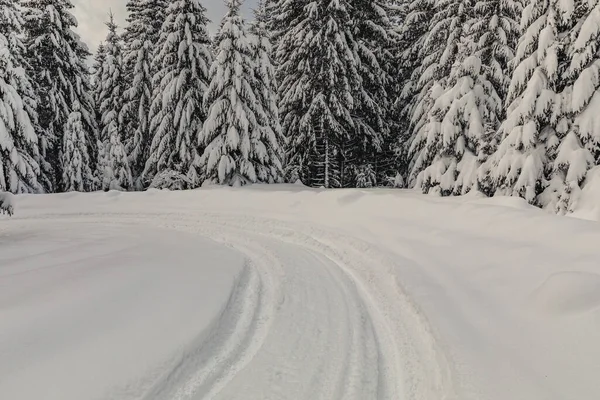 Tracce Ruote Profonde Nella Neve Appena Caduta — Foto Stock