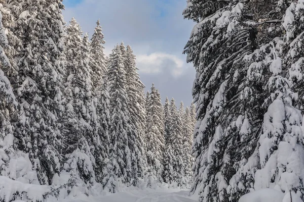 Inverno Gelido Montagna Con Tanta Neve Paesaggio Invernale Favola Nella — Foto Stock