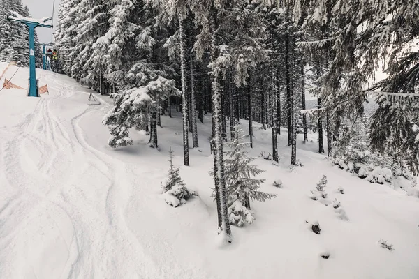 Mélykerekek Nyomai Frissen Hullott Hóban — Stock Fotó