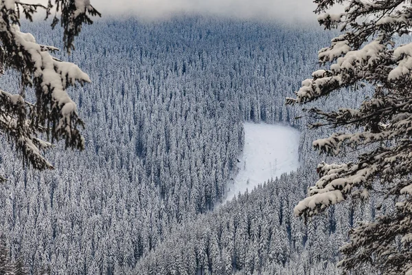 Fagyos Tél Hegyekben Sok Havazással Tündérmese Téli Táj Fenyőerdőben — Stock Fotó