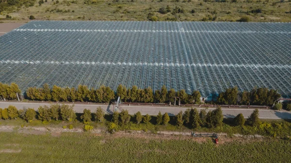 Aerial top view of greenhouse plant. Agronomy, year-round climate control and yield, indoor farming, heat recovery, power consumption and organic plant protection concept. Background image, copy space