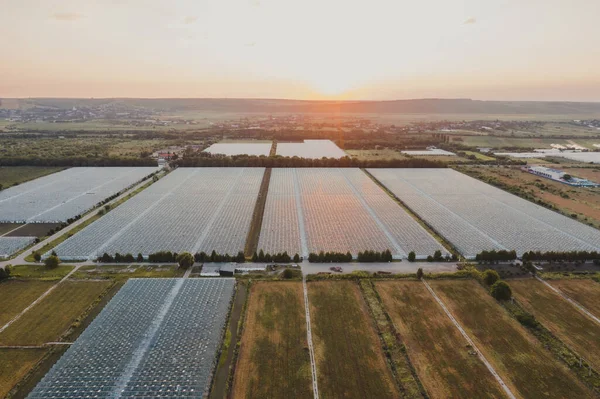 Aerial top view of greenhouse plant. Agronomy, year-round climate control and yield, indoor farming, heat recovery, power consumption and organic plant protection concept. Background image, copy space