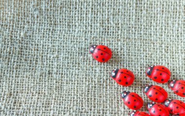 Ladybugs çul arka plan üzerinde sağ alt köşede 