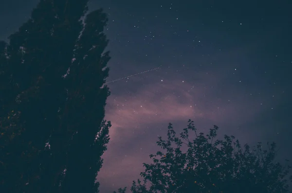 飛行機は木と曇りの空を背景に夜に飛ぶ 長時間露光写真 — ストック写真
