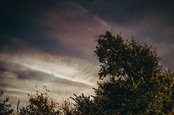 나무를 밤하늘에 플래시 — 스톡 사진