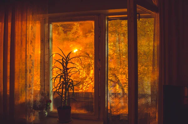 Geceleri sokak lambasının ışığı altında eski bir dairede balkonu olan bir pencere..