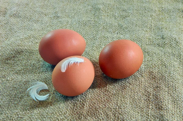 Three farm eggs on a linen napkin. The feathers on the egg and napkin. Top view free copy space — Stock Photo, Image