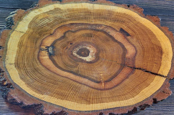 La struttura del legno è tagliata attraverso. Sezione trasversale della struttura del legno, anelli annuali. Contesto. — Foto Stock