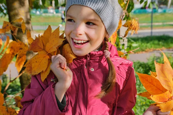 Una niña feliz y sonriente de 8-10 años sostiene hojas de arce naranja y amarillo en sus manos durante el día en otoño. Día soleado de otoño. Un niño juega con hojas de arce amarillo de otoño en el parque. —  Fotos de Stock
