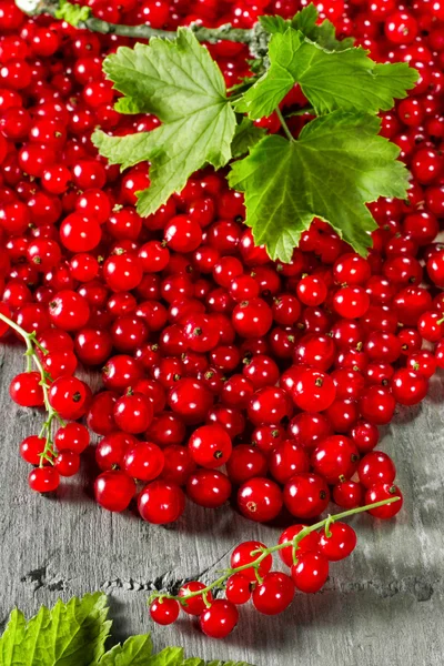 The red currant on the rustic table — Stock Photo, Image