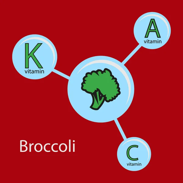 Useful properties broccoli — Stock Vector